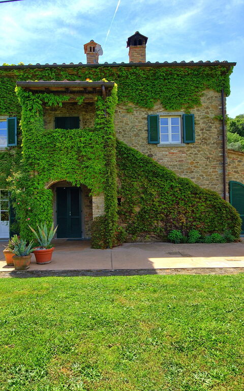 Villa Edo: Buitenshuis, Tuin