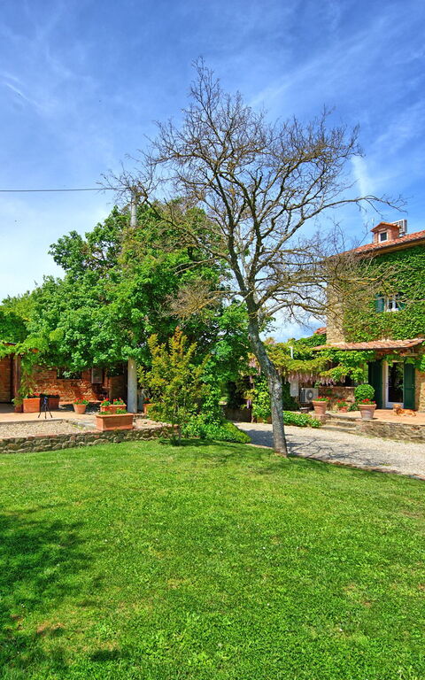 Villa Edo: Buitenshuis, Tuin