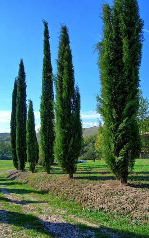 Villa Gualchiere: Hoofdingang