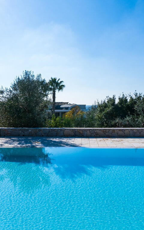 Villa Modigliani: zwembad