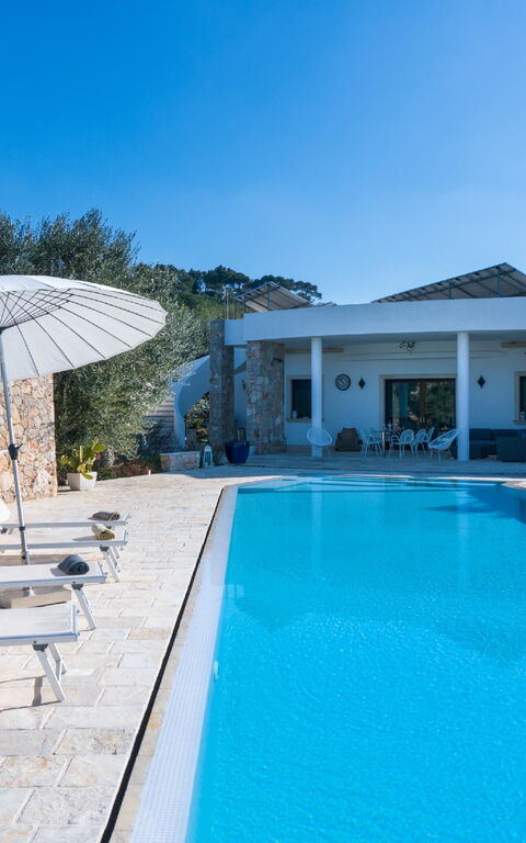 Villa Modigliani: zwembad