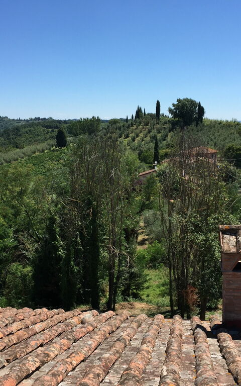 Moriolo: Keer bekeken