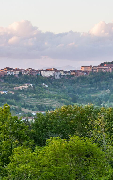 Moriolo: Keer bekeken