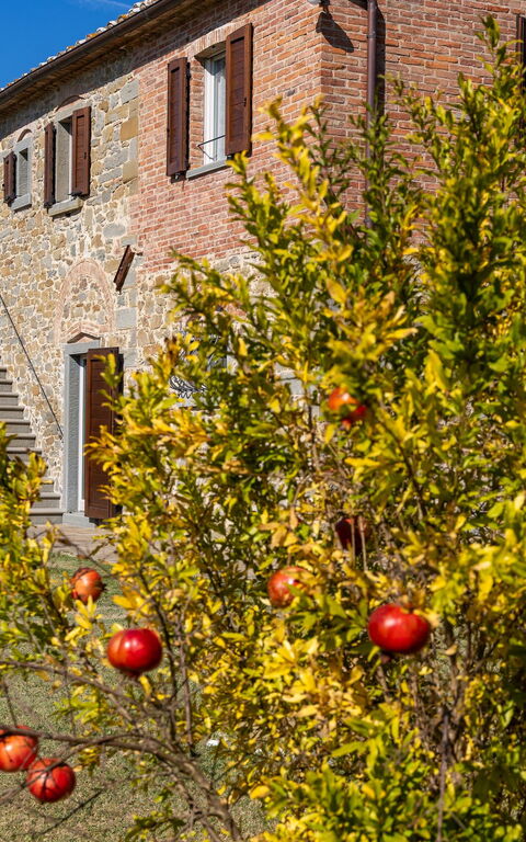 Villa Dei Vini: Buitenkanten, Buitenshuis, Tuin