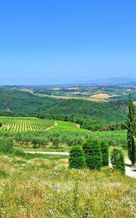 Villa Il Caggio: Buitenshuis, Keer bekeken, Zomer