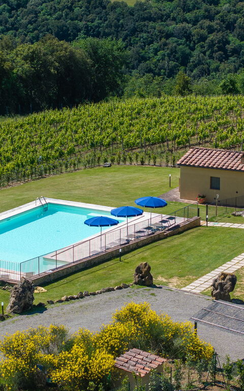 Villa Il Caggio: Buitenkanten, Buitenshuis, Keer bekeken, Tuin, zwembad