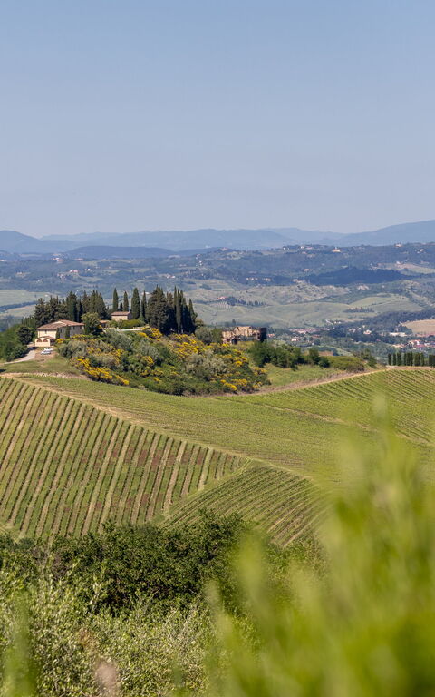 Villa Il Caggio: Keer bekeken