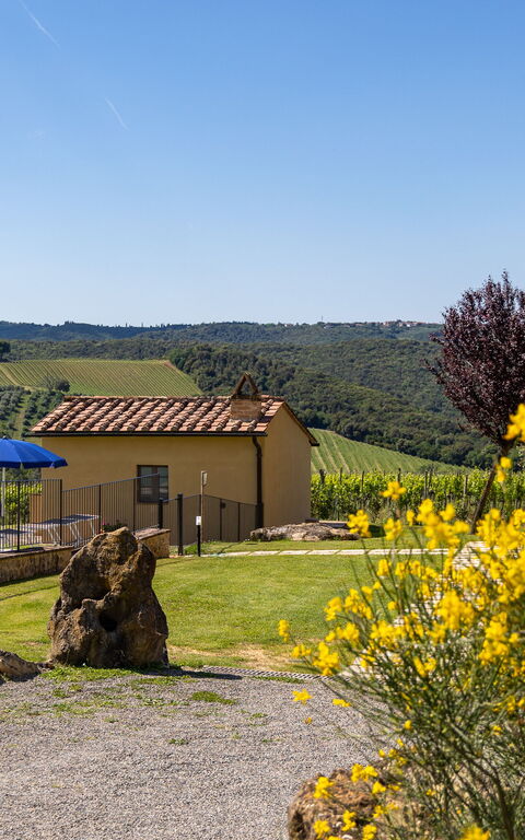 Villa Il Caggio: Buitenkanten, Buitenshuis, Tuin, zwembad