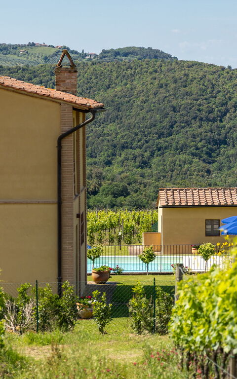 Villa Il Caggio: Buitenkanten, Buitenshuis, Tuin, zwembad