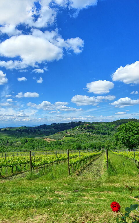 Maggiano: Keer bekeken