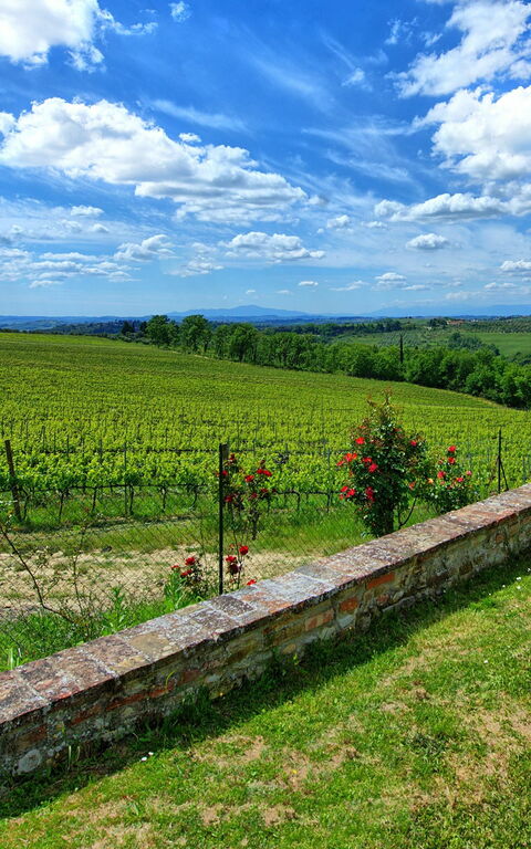 Maggiano: Keer bekeken