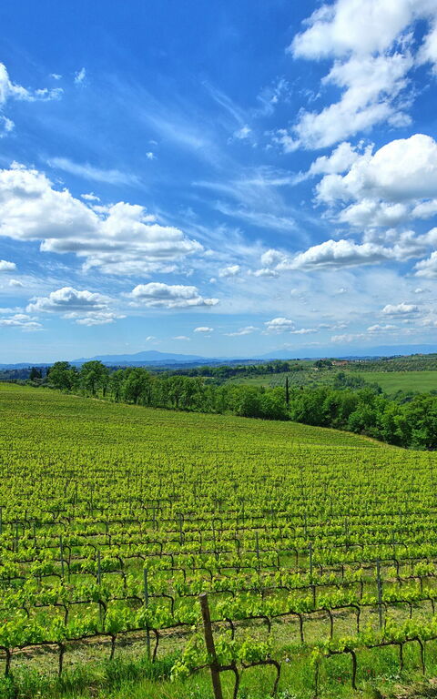 Maggiano: Keer bekeken