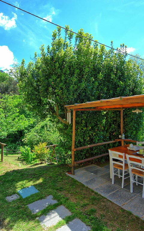 Casale Di Cozzile: Tuin