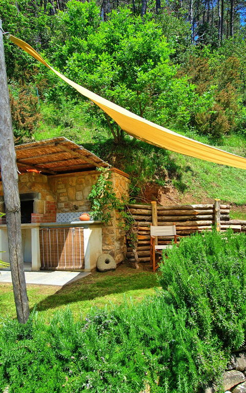 Casale Di Cozzile: Tuin