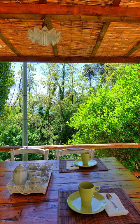 Casale Di Cozzile: Tuin