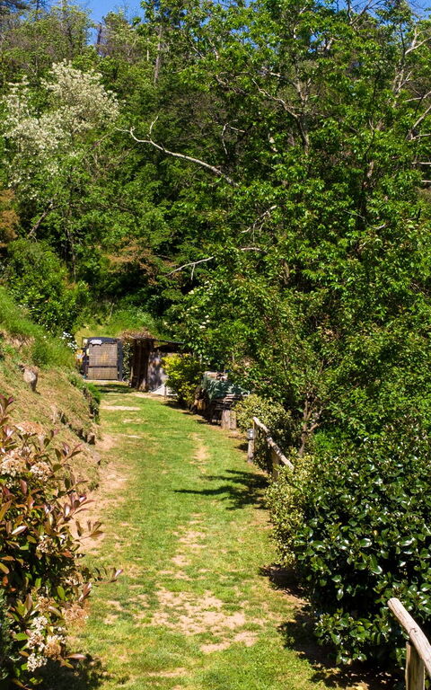 Casale Di Cozzile: Buitenshuis