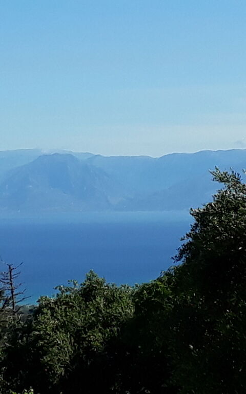 Villa Melodia: Keer bekeken