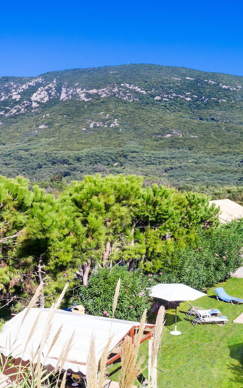 Beachfront Villa Rania: Keer bekeken