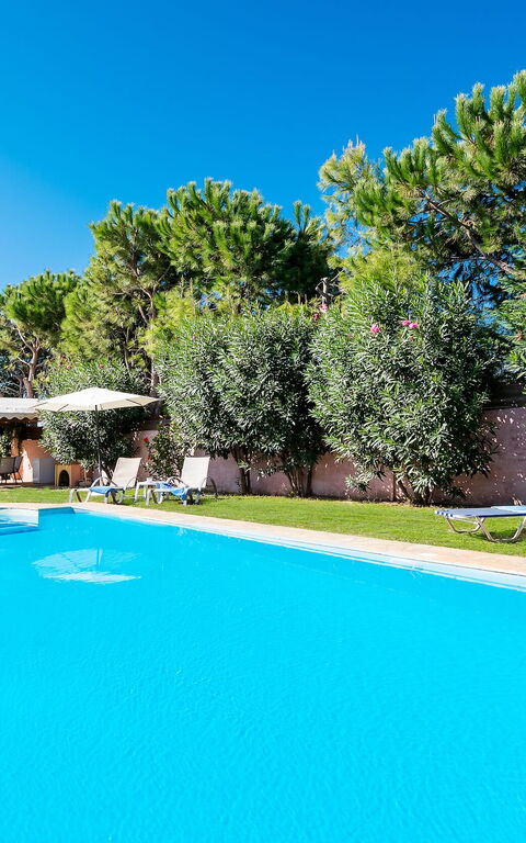 Beachfront Villa Rania: zwembad