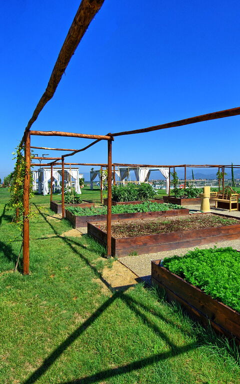 Il Sole Di Vino: Activiteiten, Tuin