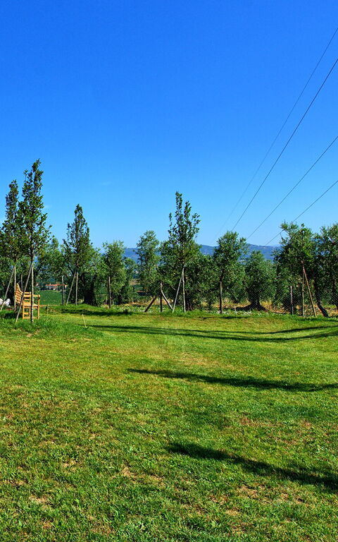 Il Sole Di Vino: Keer bekeken, Tuin