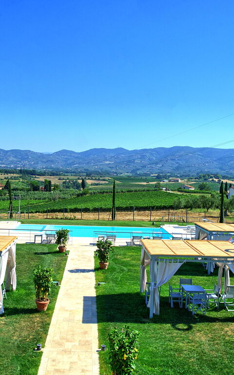 Il Sole Di Vino: Keer bekeken