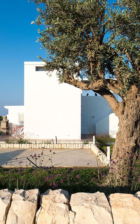 Villa San Lorenzo Palma: Buitenshuis, Tuin