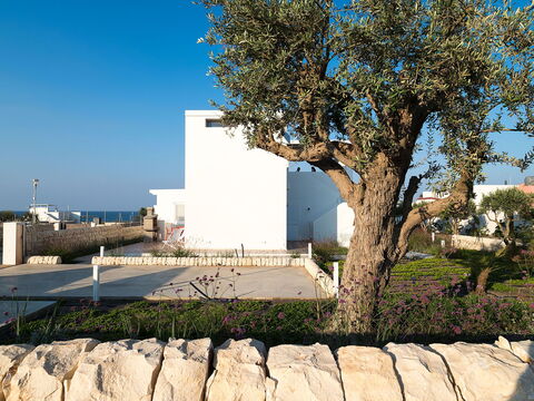 Villa San Lorenzo Palma