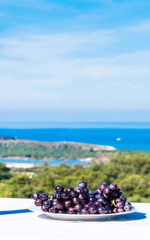 Villa Athena: Keer bekeken