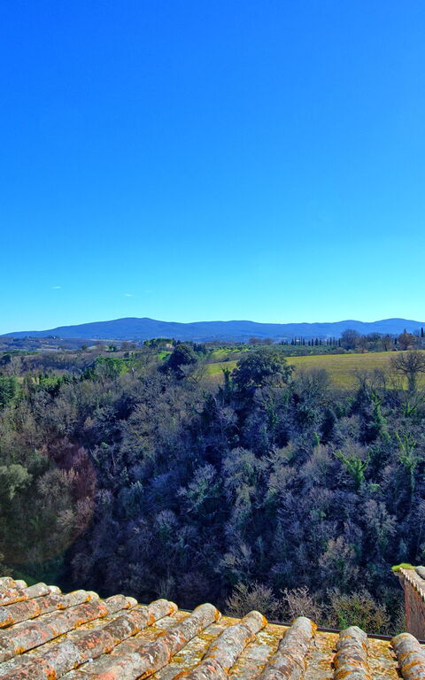 Palazzo Del Capitano: Keer bekeken