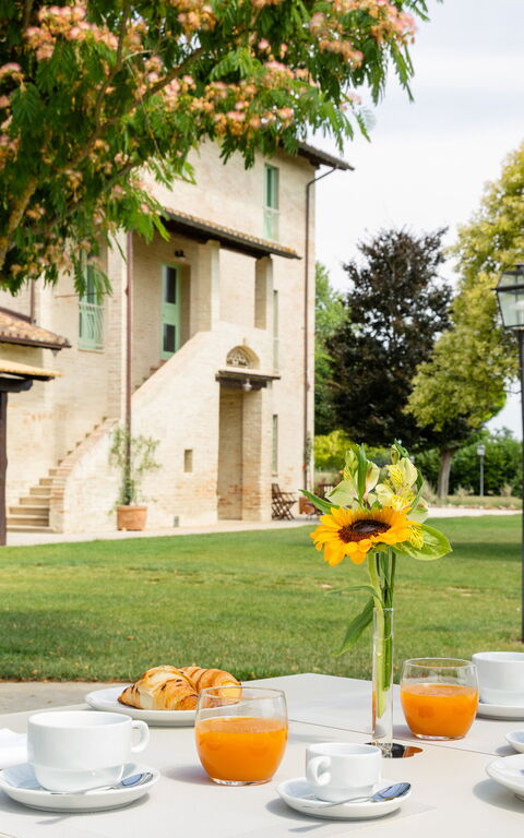 Villa Apollinare: Tuin