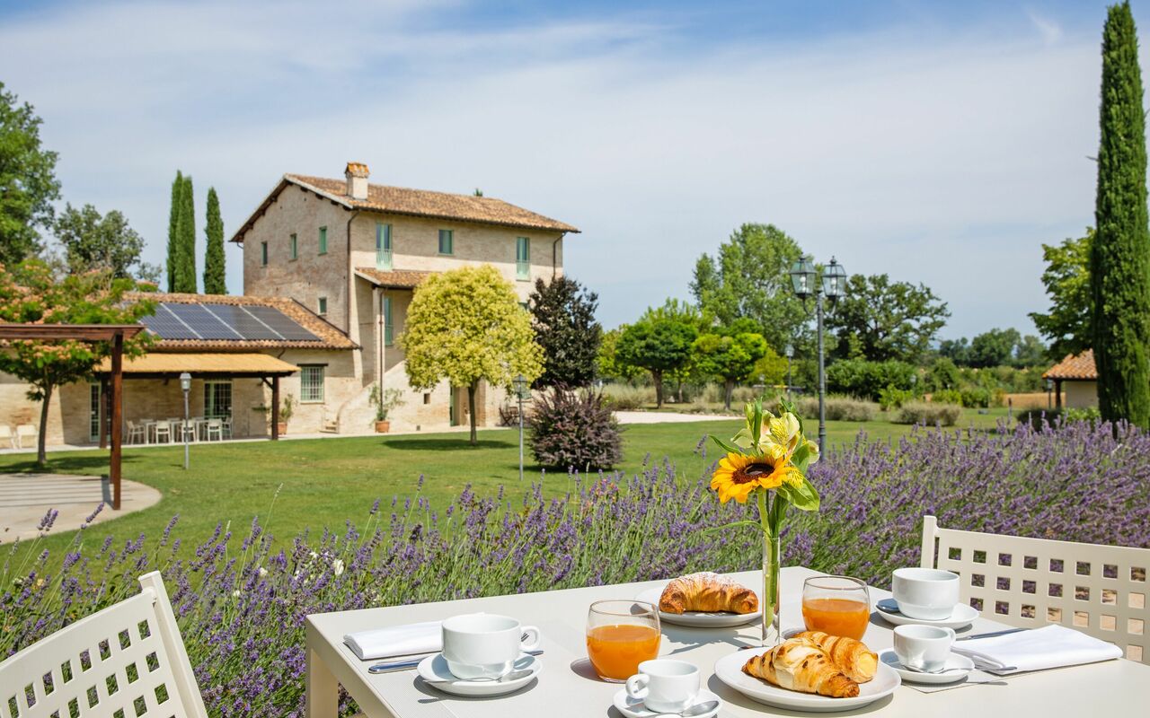 Villa Apollinare: Buitenshuis, Tuin