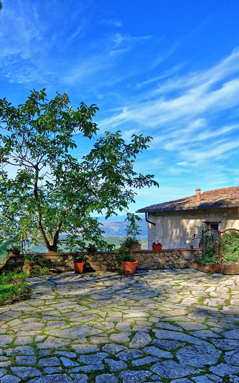 Villa Ancora: Buitenshuis, Tuin