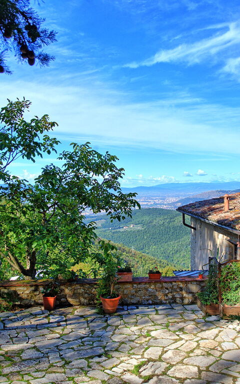 Villa Ancora: Buitenshuis, Tuin
