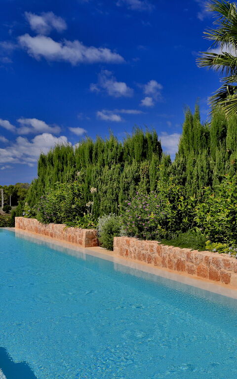 Cala Conta Dream: zwembad