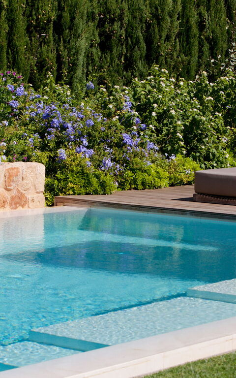 Cala Conta Dream: zwembad