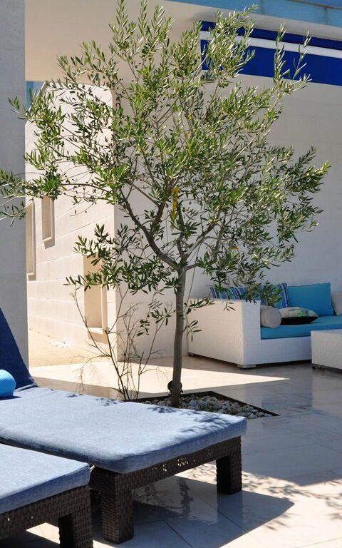 Villa Mermaid: Balkon / terras / patio, Buitenkanten, Buitenshuis