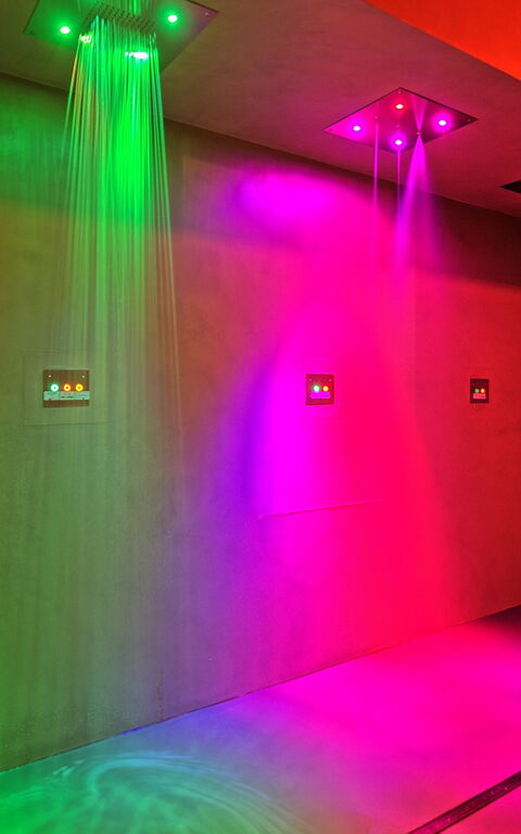 Villa Le Buche: Welzijn