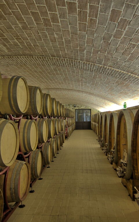 Villa Le Buche: Activiteiten, Voorzieningen