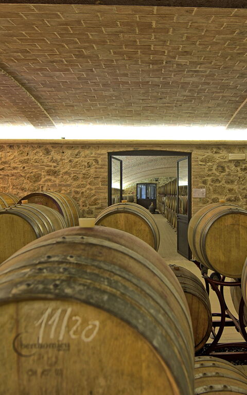 Villa Le Buche: Activiteiten, Voorzieningen