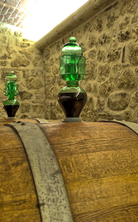 Villa Le Buche: Activiteiten, Voorzieningen