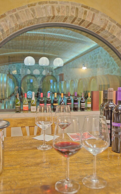 Villa Le Buche: Activiteiten