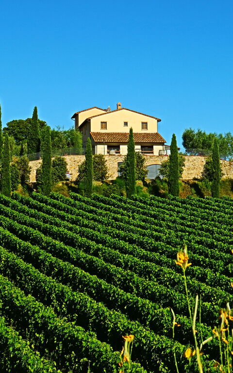 Villa Le Buche: Buitenshuis, Keer bekeken, Zomer