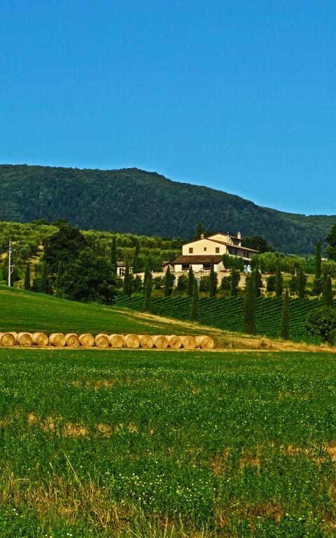 Villa Le Buche: Keer bekeken