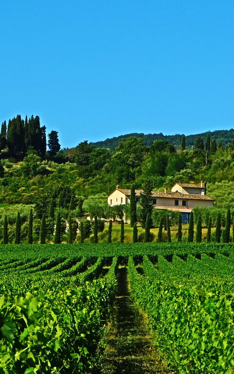 Villa Le Buche: Keer bekeken