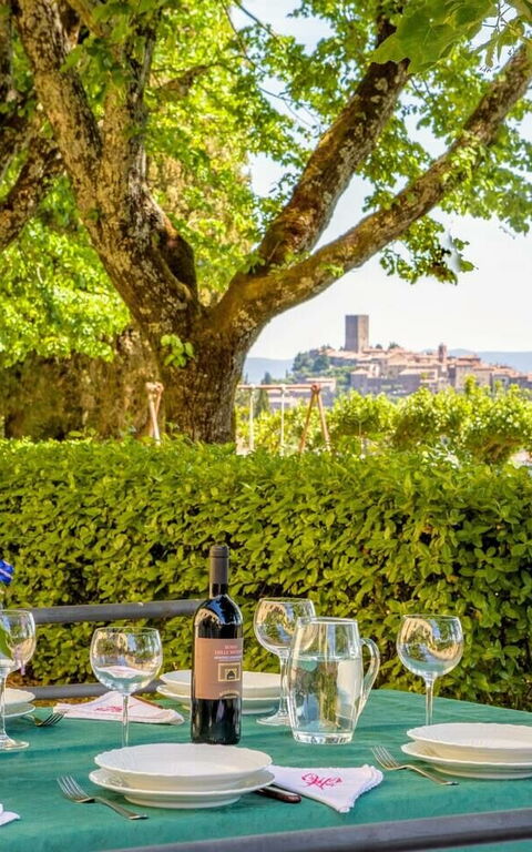 Villa Sorbaiano: Tuin