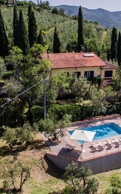 Casale Condottiero: Keer bekeken