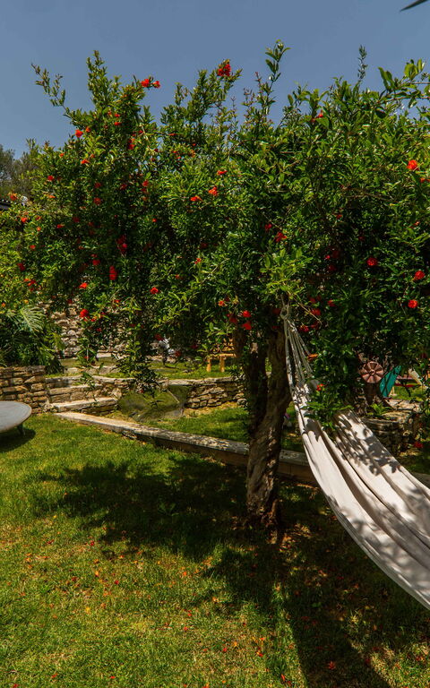 Villa Eftychia: Buitenshuis, Tuin