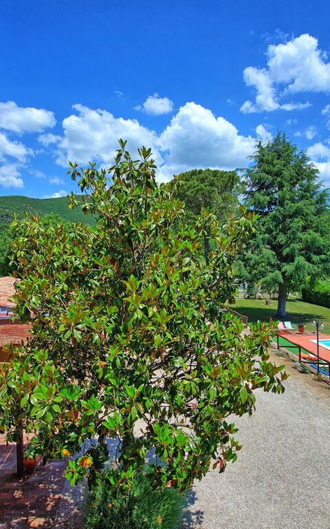 Zeffiro: Keer bekeken