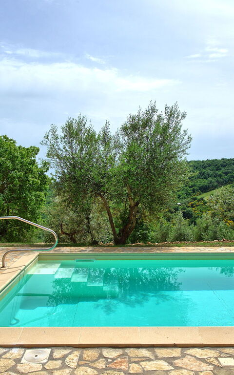 Villa Collina: zwembad